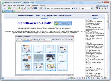 Скриншот GreenBrowser